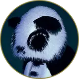 xiongmao