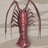 trylobinx