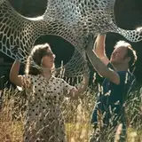 Nervous System