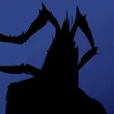 trm